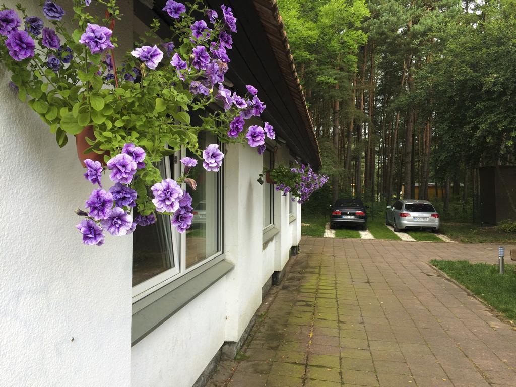 Prabangus karavanai Sventoji Bagian luar foto