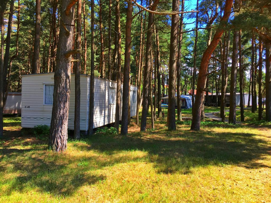 Prabangus karavanai Sventoji Bagian luar foto